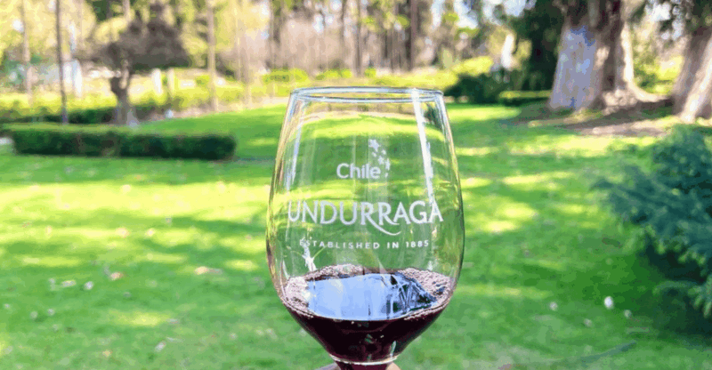 Santiago: Undurraga Winery Tour With Entry and Wine Tasting - Transportation and Accessibility