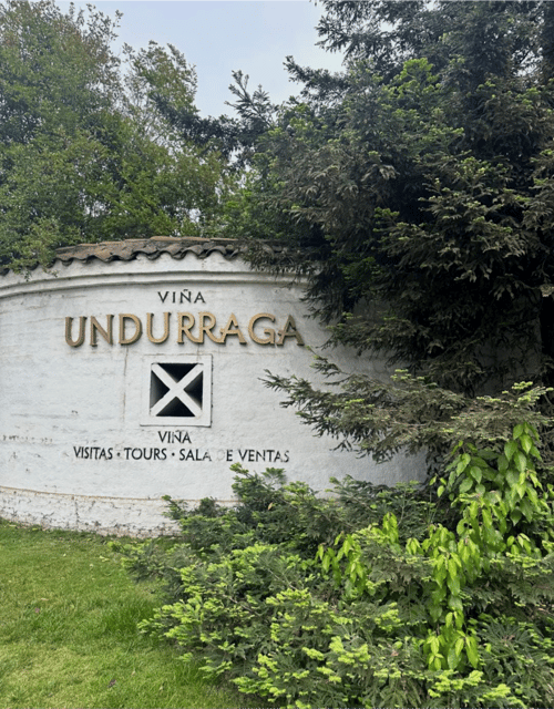 Santiago: Undurraga Winery Tour With Entry and Wine Tasting - Grape Varieties and Wines