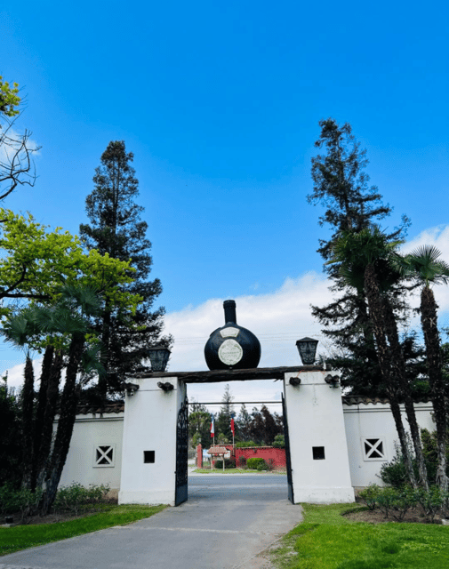 Santiago: Undurraga Winery Tour With Entry and Wine Tasting - Mapuche Museum Experience