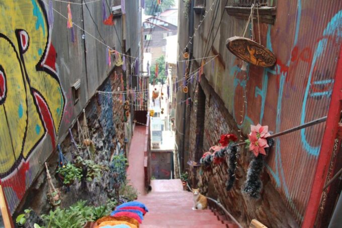 Santiago: Valparaiso and Viña Del Mar Foodie Experience. - Frequently Asked Questions
