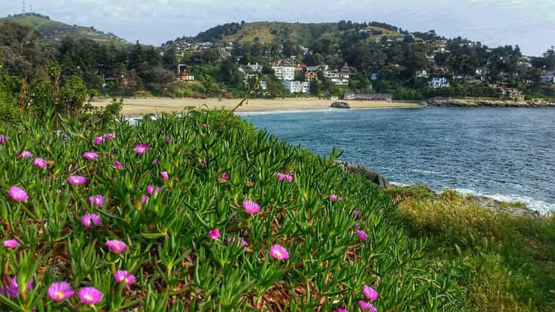 Santiago: Zapallar Beach Private Day Trip - Pricing and Inclusions
