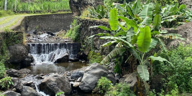 Santo Antao: Full Day Tour - Customer Feedback