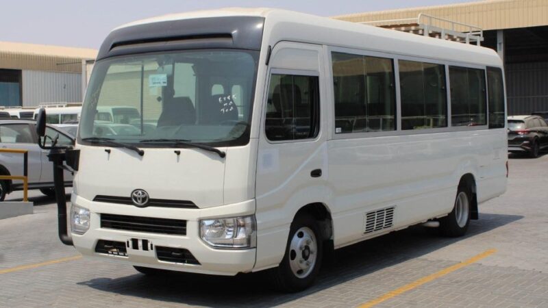 Santo Domingo Airport: One-Way or Round Trip Transfers - Driver Professionalism