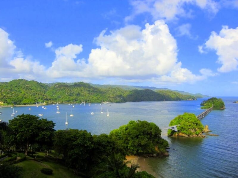 Santo Domingo: Bacardi Island and El Limon Waterfalls Samana - Bacardi Island Swimming