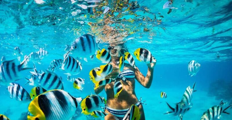 Santo Domingo: Catamaran With Snorkeling, Open Bar, and Lunch - Key Points