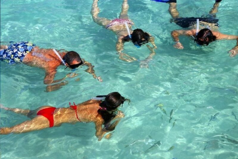 Santo Domingo: Catamaran With Snorkeling, Open Bar, and Lunch - Important Information