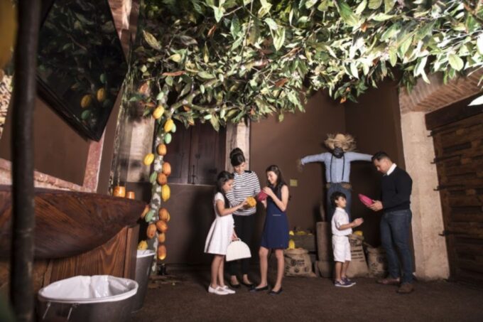 Santo Domingo: Chocolate Tour + Optional Workshops - Factory Overview