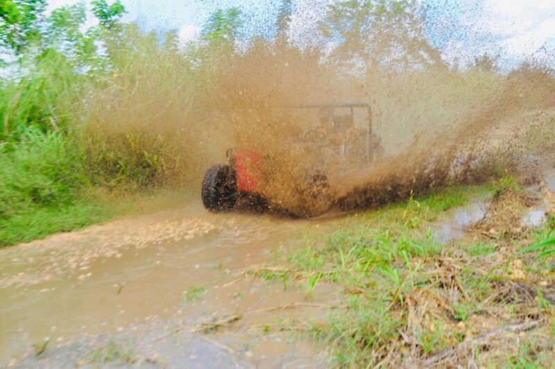 Santo Domingo: Dune Buggy Cumayasa With River & Beach - Customer Feedback