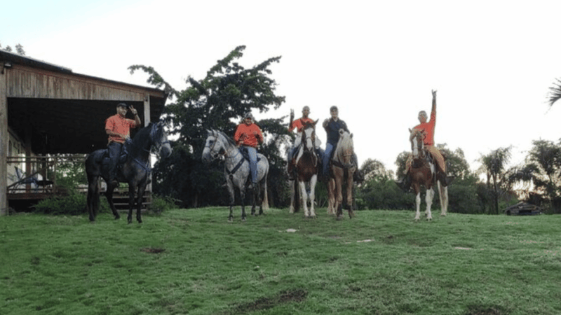 Santo Domingo: Horseback Riding - Round Trip Transportation - Inclusions