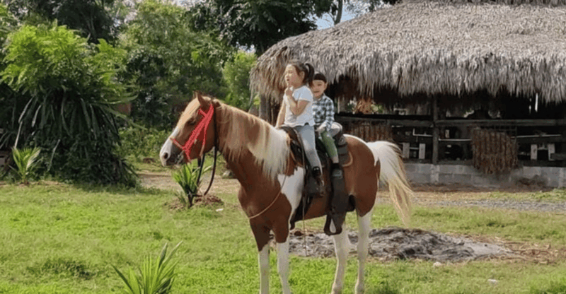 Santo Domingo: Horseback Riding - Round Trip Transportation - Guided Experience