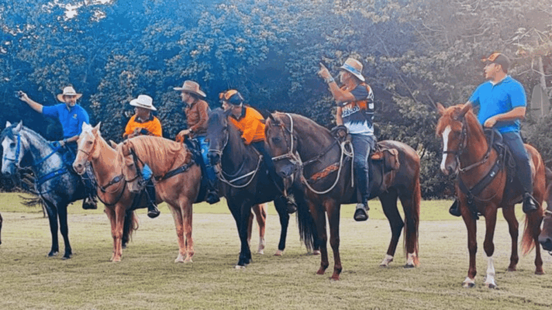 Santo Domingo: Horseback Riding - Round Trip Transportation - Important Information