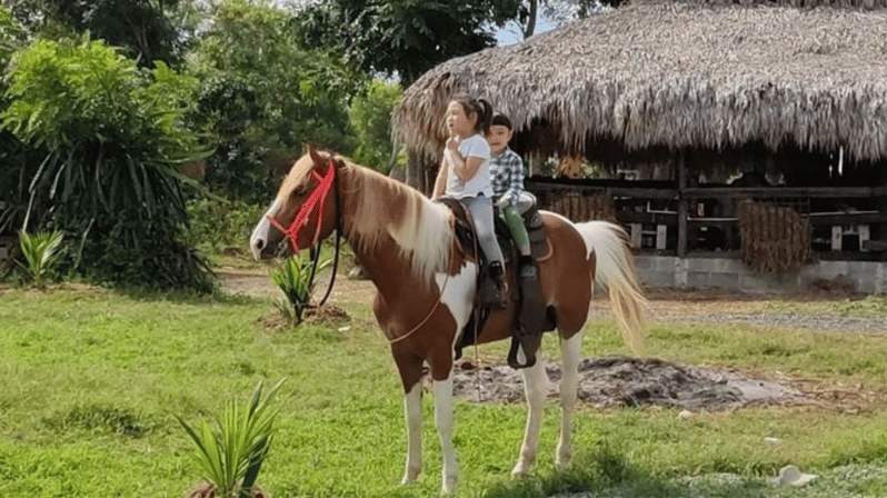 Santo Domingo: Horseback Riding - Round Trip Transportation - Location and Duration