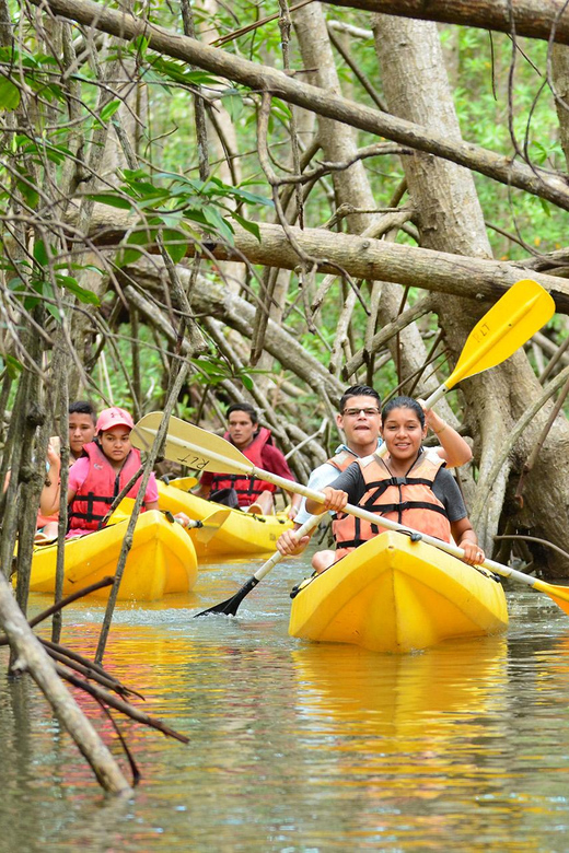 Santo Domingo: Los Haitises Guided Hike and Kayaking - Kayaking Adventure