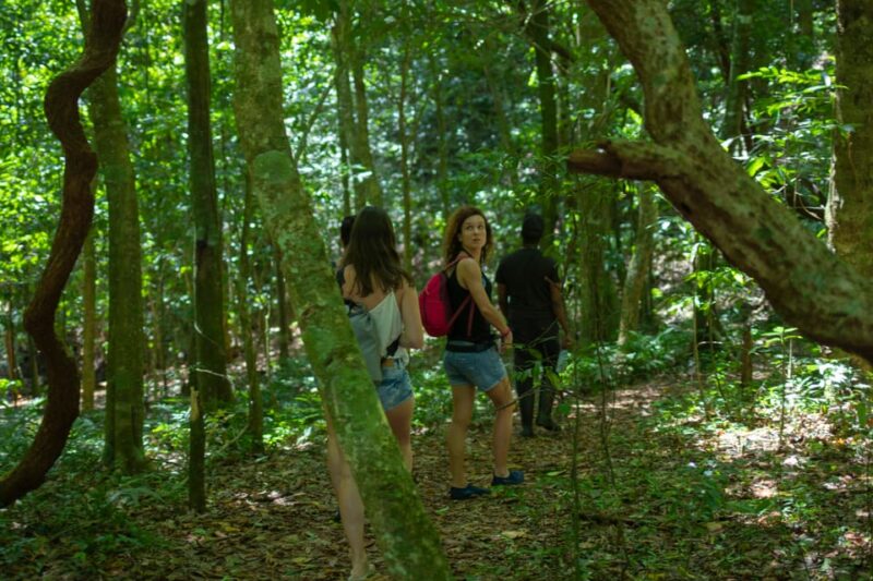 Santo Domingo: Los Haitises Guided Hike and Kayaking - Taino Cultural Insights