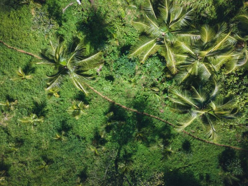 Santo Domingo: Los Haitises Guided Hike and Kayaking - Cultural and Natural Significance