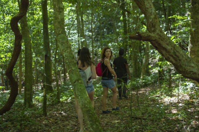 Santo Domingo: Los Haitises Guided Hike and Kayaking - Kayaking in Mangrove Swamps
