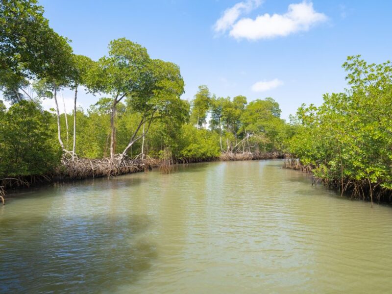 Santo Domingo: Los Haitises National Park Day Trip - Tour Inclusions