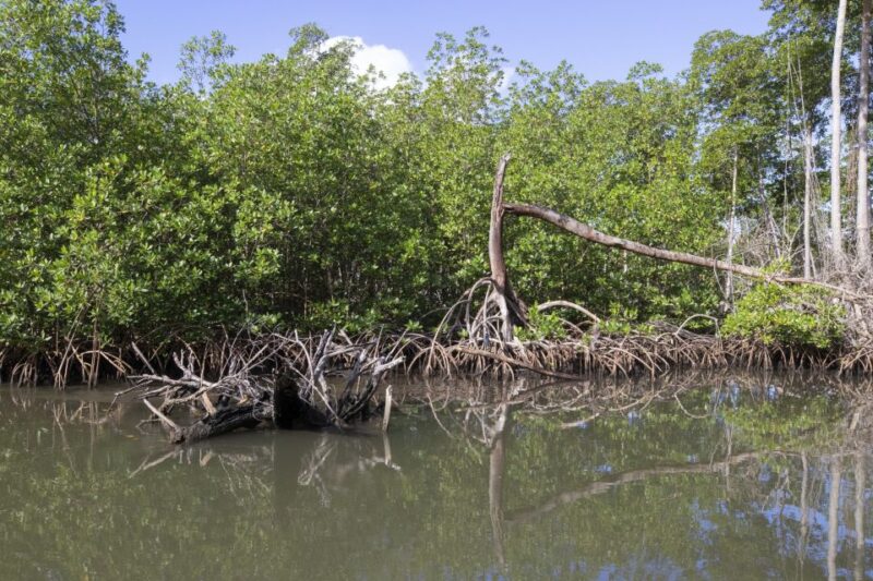 Santo Domingo: Los Haitises National Park Day Trip - Booking and Cancellation