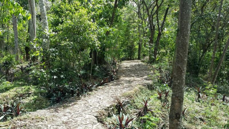 Santo Domingo: Natural Treasures of the City - What to Bring and Restrictions