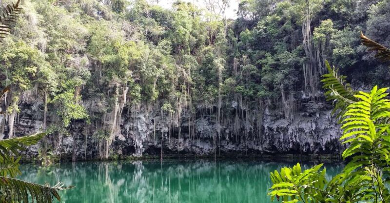Santo Domingo: Natural Treasures of the City - Customer Feedback and Ratings