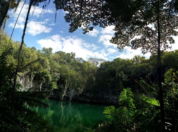 Santo Domingo: Natural Treasures of the City - Botanical Garden Stroll
