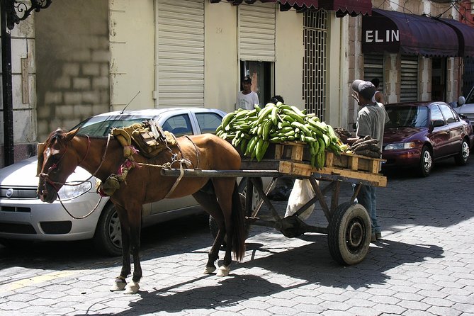 Santo Domingo off the Beaten Track - Booking Your Stay