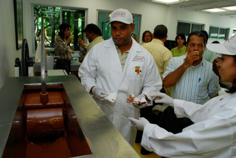 Santo Domingo: Private Family-Friendly Walking Tour - Inclusions