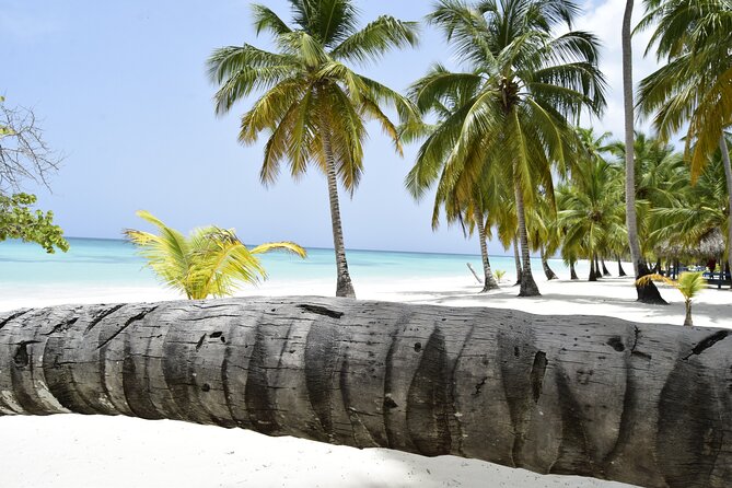 Santo Domingo Saona Island Catamaran Tour With Lunch & Bar - Lunch and Refreshments