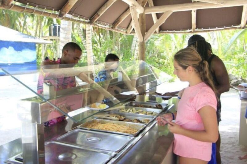 Santo Domingo: Saona Island Catamaran Tour With Lunch & Bar - Transportation and Logistics