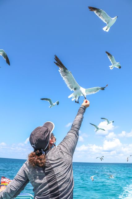 Santo Domingo: Saona Island Full-Day Tour All-Inclusive - Frequently Asked Questions