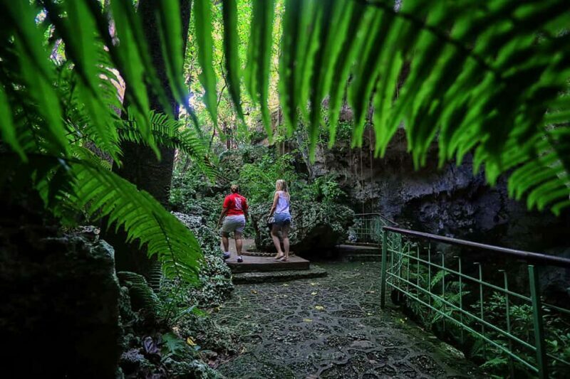 Santo Domingo: Three Eyes National Park Guided Tour - The Natural Art of Espeleothemes