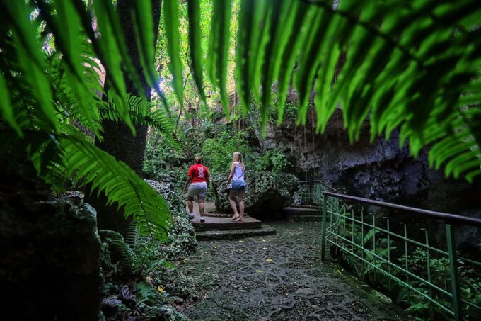 Santo Domingo: Three Eyes National Park Immersion - Ancestral Stories and Rituals
