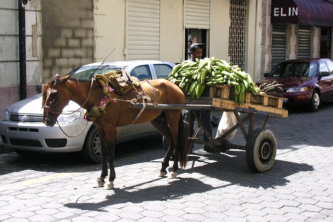 Santo Domingo Walking Tour for the Whole Family - About Your Stay