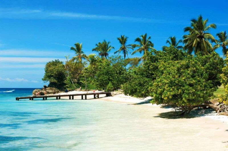 Santo Domingo: Whale Watching and Barcadi Island Full Day - Detailed Itinerary