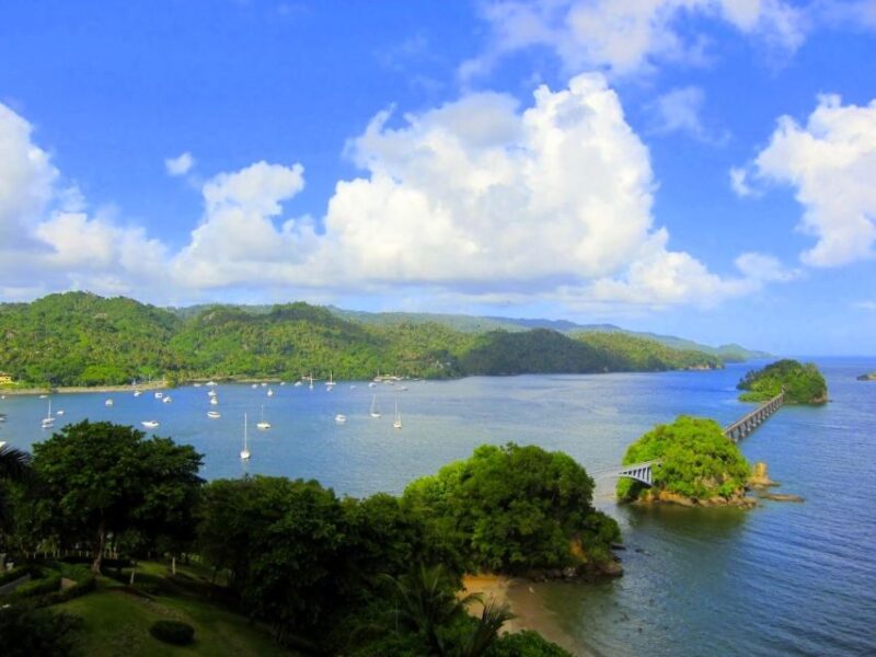 Santo Domingo: Whale Watching and Barcadi Island Full Day - Whale Watching Experience