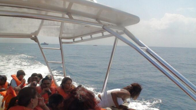 Santo Domingo: Whale Watching and Barcadi Island Full Day - Frequently Asked Questions