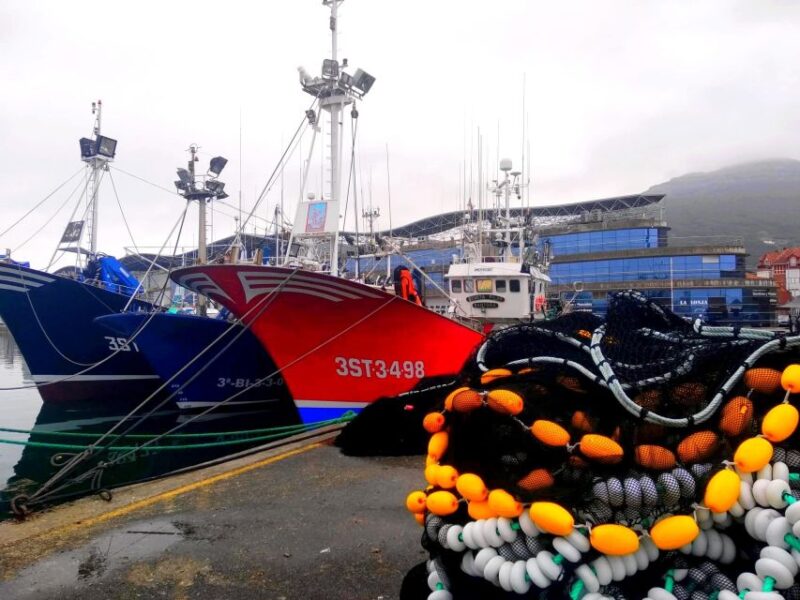 Santoña: Anchovy Art Gallery With Fishing Port and Market - Auction Process Observation