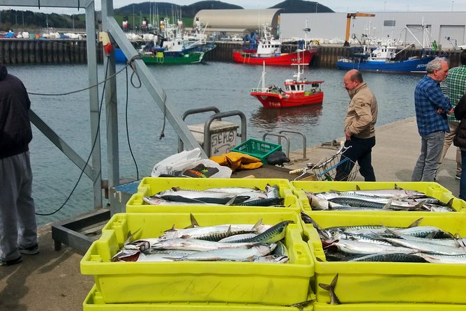 Santoña: Anchovy Factory & Boat Trip - Tour Overview