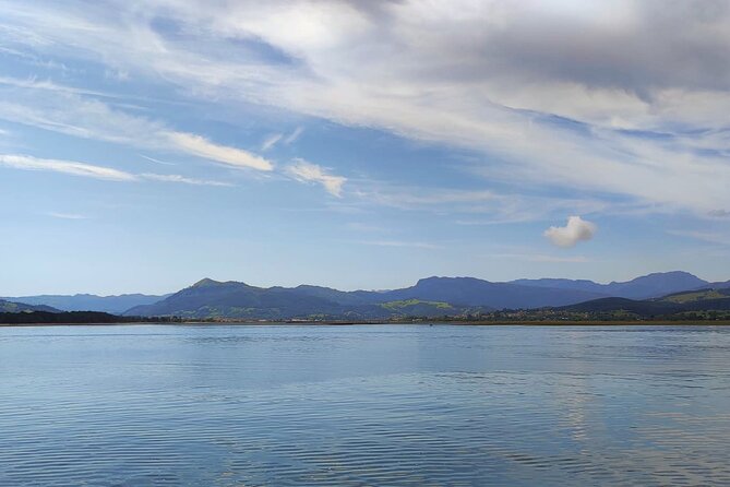 Santoña: Anchovy Factory & Boat Trip - Faro Del Caballo Lighthouse