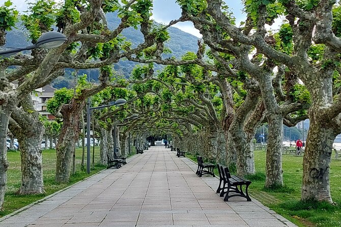 Santoña: Anchovy Factory & Boat Trip - Reviews and Ratings