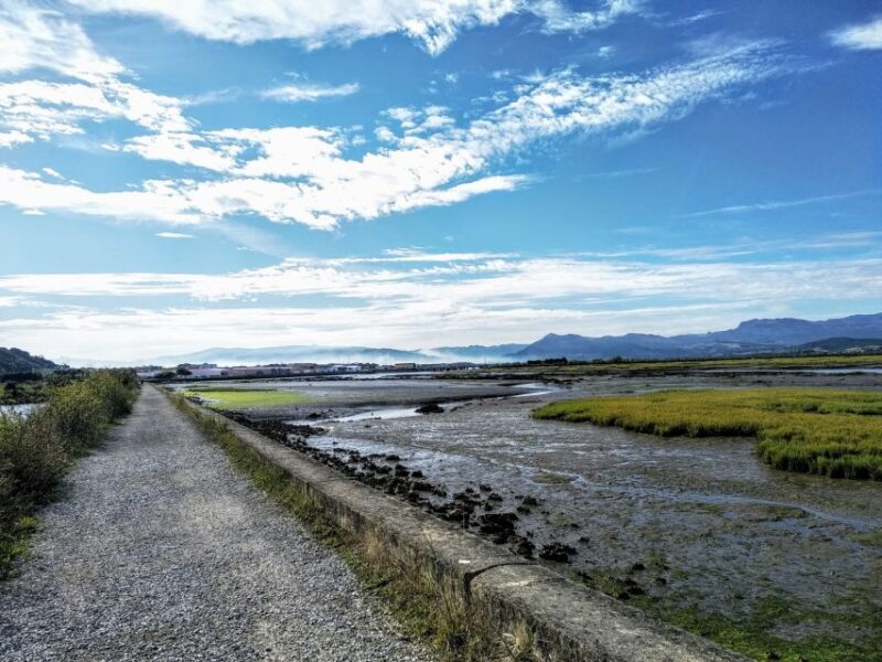 Santona: Canning Factory and the Marshes Tour With Tasting - Highlights of the Tour
