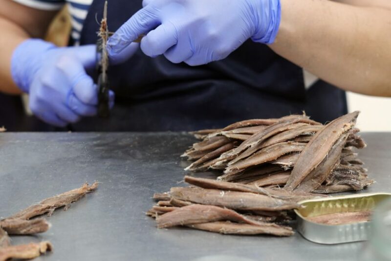 Santonia, Guided Tour + Anchovy Tasting 5€ - Key Points
