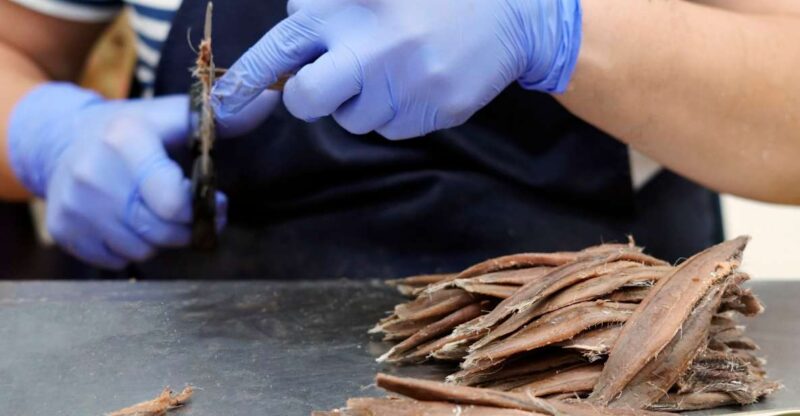 Santonia, Guided Tour + Anchovy Tasting 5€ - Highlights of Experience