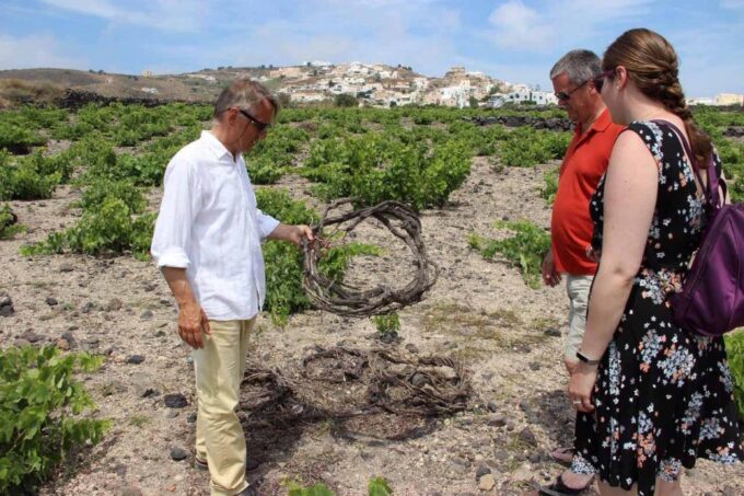Santorini: 5-Hour Private Wine Tour - Inclusions