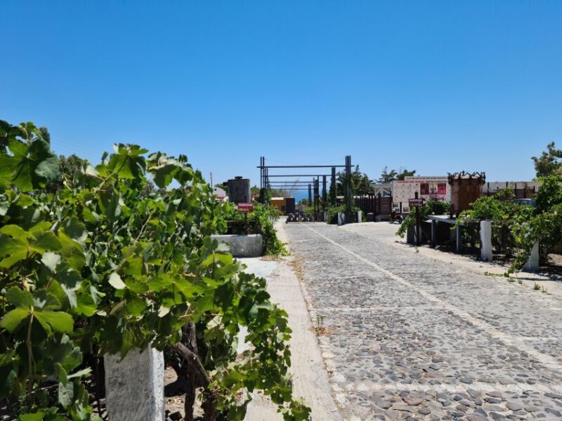 Santorini: Authentic Private Wine Tasting Tour - Argyros Winery