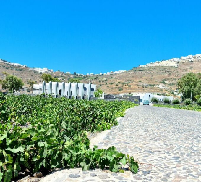 Santorini: Authentic Private Wine Tasting Tour - Cancellation Policy