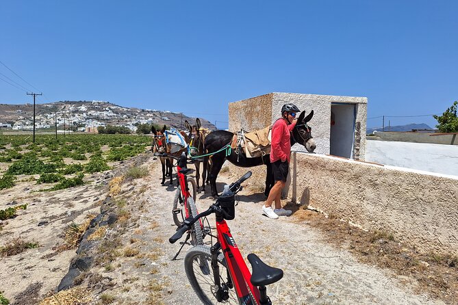 Santorini: E-Bike Tour Experience - Positive Customer Feedback