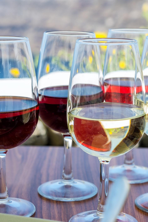 Santorini Elements Of Wine Private Wine Tour And Tasting - Wine Tasting Experiences
