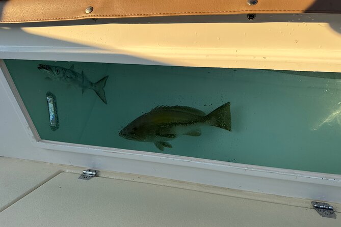 Santorini Fishing Tours - Private Santorini Boat Tours - Pricing and Cancellation Policy