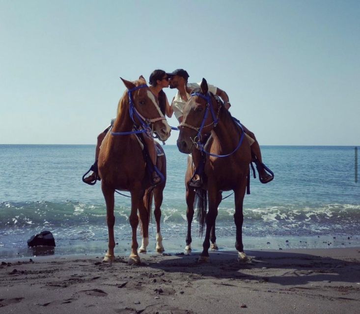 Santorini Fun Day: Horseriding- Wine Tasting - Tapas - Key Points